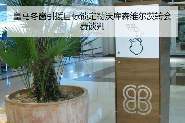 皇马冬窗引援目标锁定勒沃库森维尔茨转会费谈判