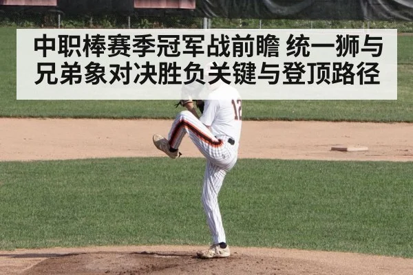 中职棒赛季冠军战前瞻 统一狮与兄弟象对决胜负关键与登顶路径