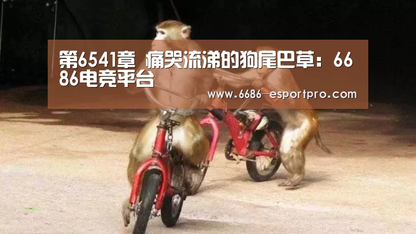 6686电竞官网