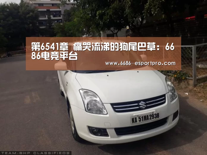 6686电竞官网