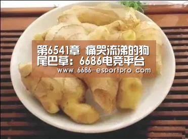 6686电竞官网
