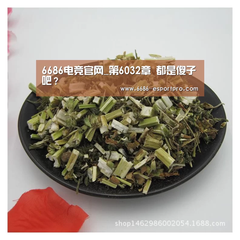 6686电竞官网_第6032章 都是傻子吧?(图2) 6686电竞
