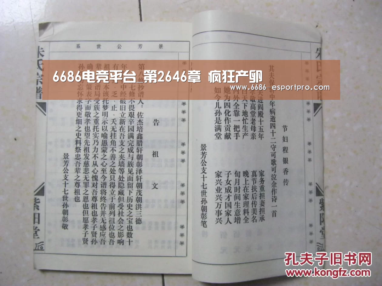 6686电竞官网