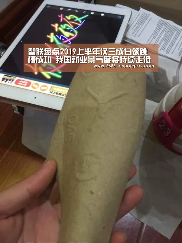 6686电竞官网