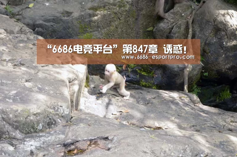 6686电竞平台