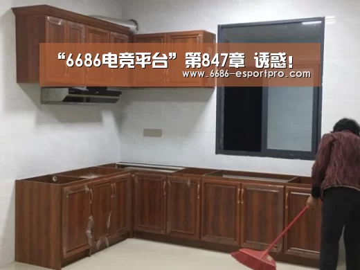 6686官方网站